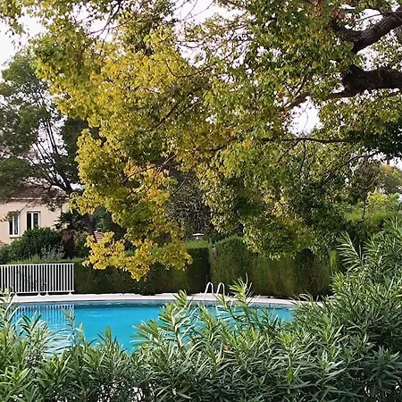 Appartement Rocher Saint Georges Spacieux 3p Jardin Piscine Cannes